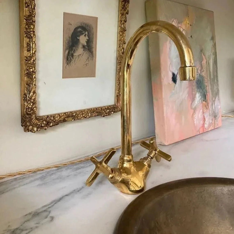 Brass Single Hole Bathroom Faucet, Antique Brass Gooseneck Bathroom Faucet - BRASSDORIA